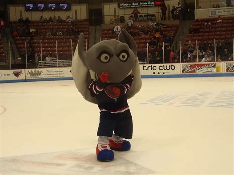 Mascot for the south carolina stingrays hockey team